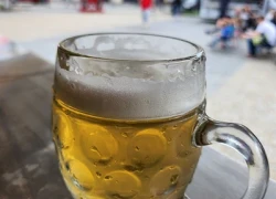 Obrázek k Vyškovské slavnosti piva