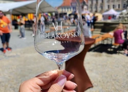 Obrázek k Vyškovské slavnosti jídla