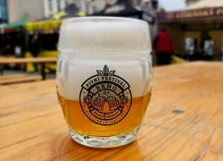 Obrázek k Pivní festival Brno