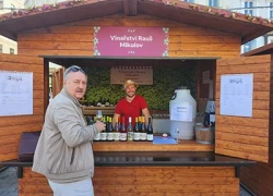 Obrázek k Vinobraní