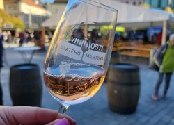 Obrázek k Vin(n)osti svatého Martina