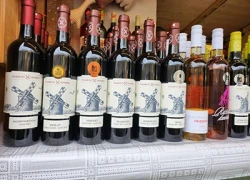 Obrázek k Vin(n)osti svatého Martina