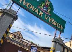 Obrázek k Vyškovské slavnosti piva