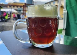 Obrázek k Vyškovské slavnosti piva