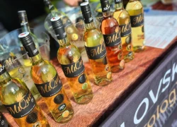 Obrázek k Vyškovské slavnosti vína